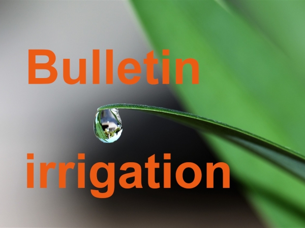 Bulletin technique d’irrigation du 15 avril 
