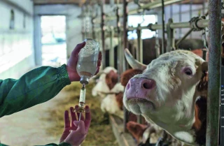 La vaccination reconduite pour 2026