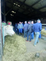 Promotion et génétique au programme