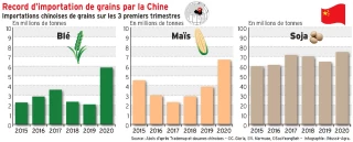 Record d'importation de grains par la Chine