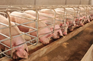 Bruxelles valide l'enveloppe de 175 M€ d'aides à la trésorerie 