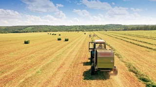 Comptes de l’agriculture : hausse généralisée des prix