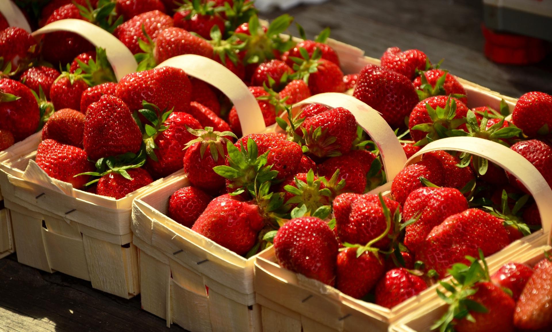 Une récolte de fraises stable en 2022