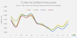 En France, la collecte de lait poursuit son recul