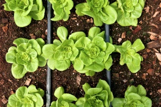 Réserves d’eau : le rude travail d'explication