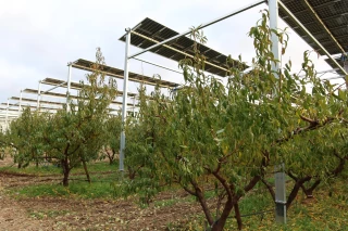 Agrivoltaïsme : un projet de décret à améliorer, selon JA et FNSEA 