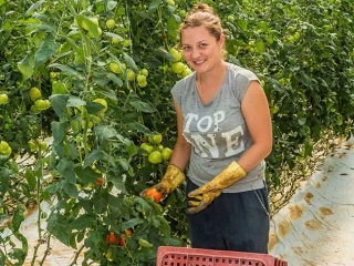 L’agriculture, secteur à classer « en tension »