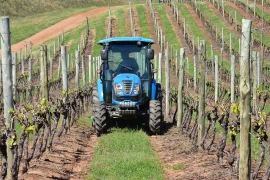 VITICULTURE