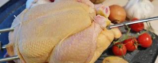 La consommation de volailles de qualité repart