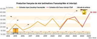 Une importante production de miel en 2024