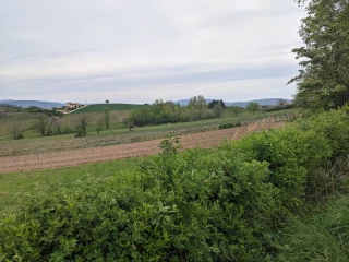 Les principales hypothèses de la DGPE pour le second pilier