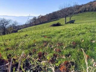 Abad Chabbi : « La séquestration du carbone dans les sols est une option gagnante pour tous »