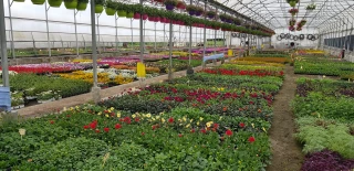 Une filière régionale aujourd’hui en danger