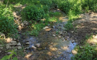 De nouveaux délits généraux pour les pollutions