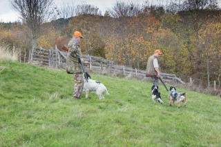 Les oppositions formulent leurs propositions sur la chasse