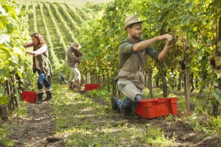 L’aide au logement des saisonniers prolongée pour 2021