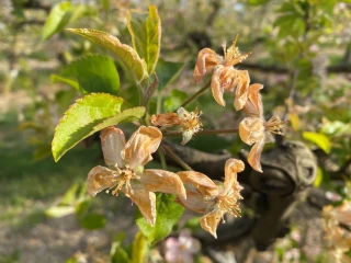 Plan gel 2021 : précisions et point d'étape du gouvernement