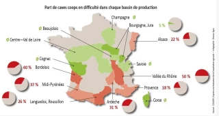 Coopératives viticoles : le plan de la dernière chance ?