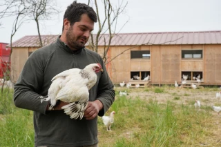La filière avicole recherche des éleveurs