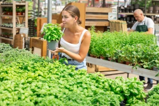 PPAM : moins de foyers acheteurs en 2025, sauf en bio
