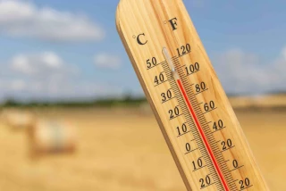 La canicule chahute les productions agricoles