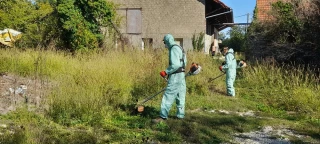 Lutte contre l'Ambroisie : une action ciblée à Asnans-Beauvoisin