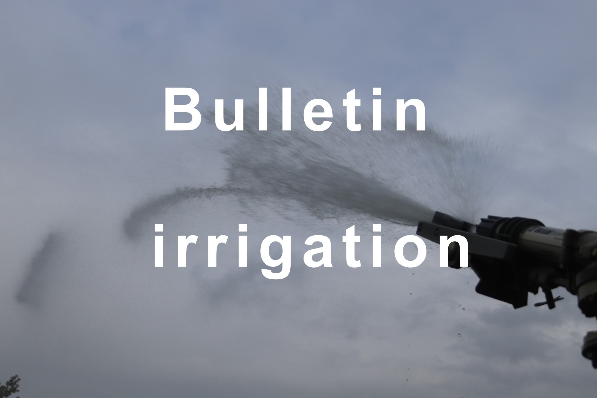Bulletin d’irrigation du 28 août au 3 septembre