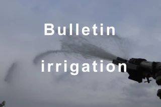 Bulletin d’irrigation du 28 août au 3 septembre