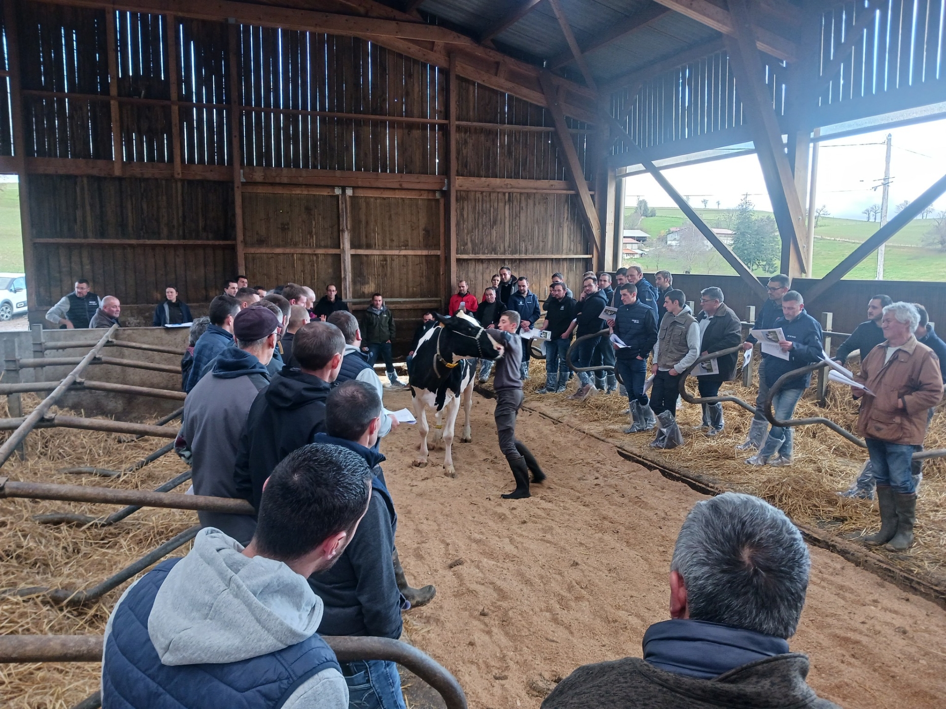 Holstein : la passion de l’élevage coule dans leurs veines