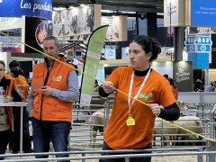 L’avenir est dans le ring