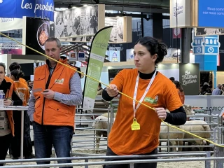 L’avenir est dans le ring