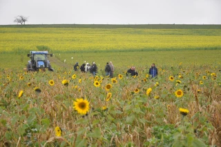 Biomasse : un rapport 2020 « très attendu» pour anticiper les concurrences d'usage