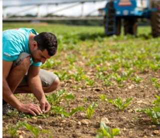 Un site web pour faciliter l’application de la convention nationale agricole
