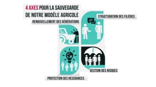 PSN : les JA veulent maintenir ouvert le débat sur la répartition des aides à l'actif