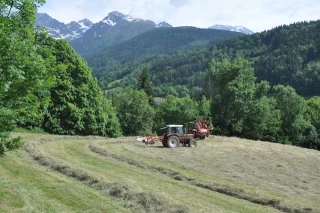 PSN : les chambres d'agriculture des massifs insistent sur les aides couplées et l'ICHN