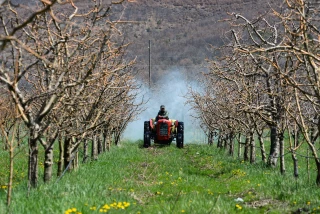 Le Conseil d'Etat exige un durcissement dans les zones Natura 2000