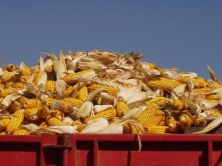 Les ministres de l’Agriculture renforcent leur soutien à l’Ukraine 