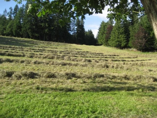 La Région Auvergne-Rhône-Alpes débloque 12 millions d'euros d'aides