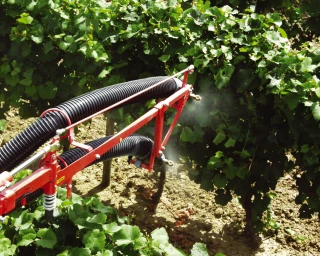 L'étude Agrican confirme le lien entre pesticides et lymphomes non-hodgkiniens