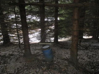 Les agriculteurs invités à faire la chasse à l'agrainage illicite 