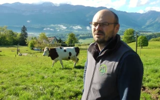 L'élevage bovin laitier recrute