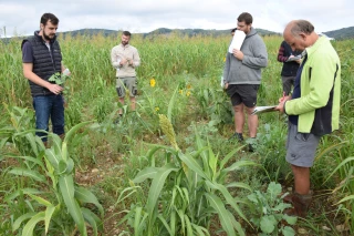 Nantoin : mélanges de semences au banc d'essai