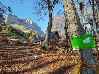 Montagnes en partages