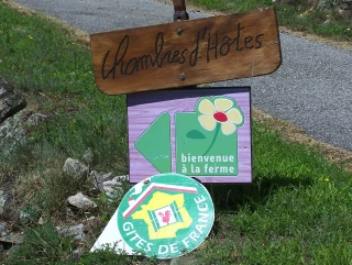 Comment déclarer les revenus d'une micro-entreprise ?