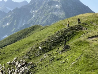 Voyage en alpages