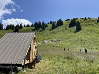 « Le métier s’est tordu » 