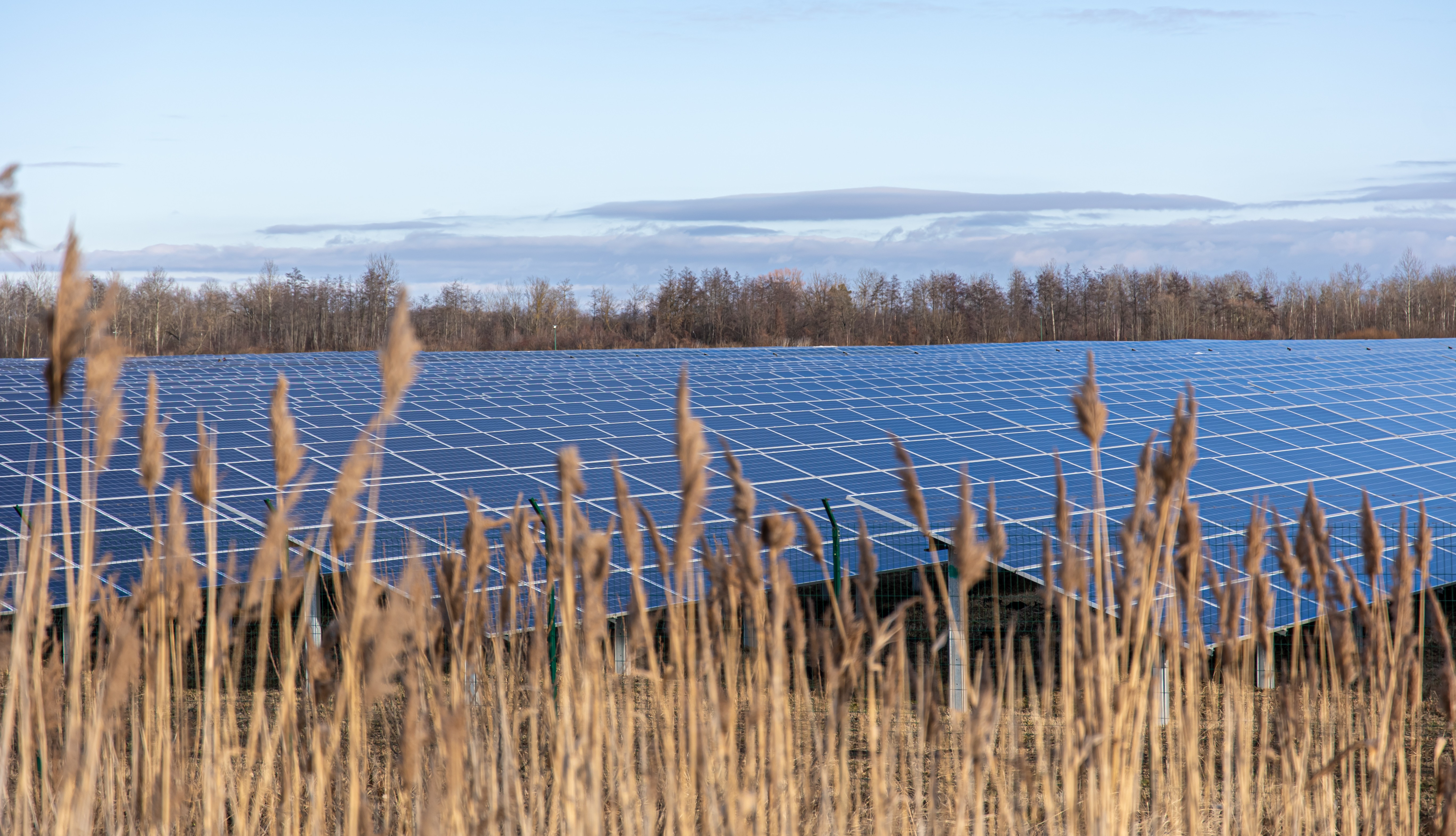 Vers du foncier agricole renouvelable