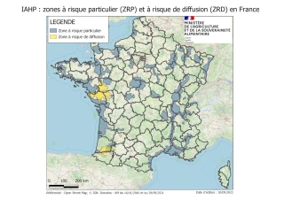Influenza aviaire : élévation du niveau de risque