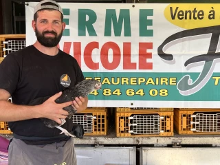Le retour des vendeurs de volailles