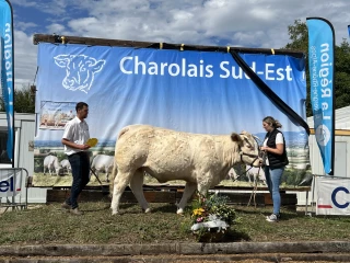 Palmarès charolais Sud-Est
